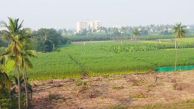 Image of 1000 Sq.ft 2 BHK Independent House for sale in Penamaluru, Vijayawada for Rs. 3750000