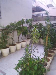 Balcony Image of 5000 Sq.ft 10 BHK Independent House for sale in Sector 14 Gurgaon for Rs. 92500000
