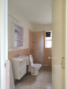 Common Bathroom Image of 953 Sq.ft 3 BHK Apartment / Flat for rent in Jaypee Aman , Aurangabad Noida for Rs. 21000