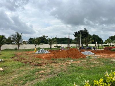 Plot View