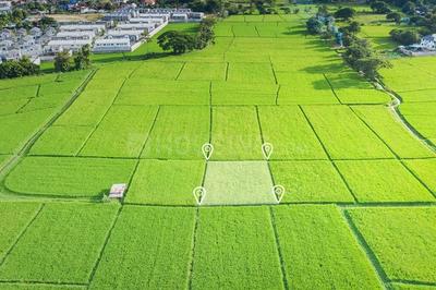 Karvenagar Plot View 1
