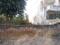 Sector 14 Plot View 1