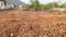Sujatha Nagar Main Image 1