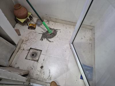 Image of 766 Sq.ft 2 BHK Apartment / Flat for rent in Prateek Grand City, Siddharth Vihar, Ghaziabad for Rs. 31000