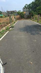 7th Phase Plot View 1