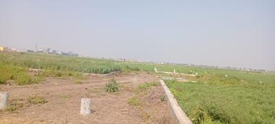 PATNA BUS STAND Plot View 2