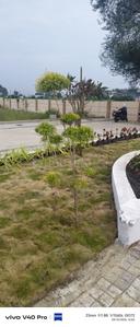 Image of 600 Sq.ft Residential Plot / Land for sale in Graceland Highway Blossom, Sanwer, Indore for Rs. 1920000