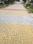 Orris Atulyam 83 Internal Roads 1