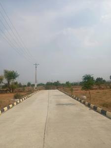 Aspirealty Avatar Internal Roads 2