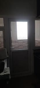 Bedroom Image of 1100 Sq.ft 2 BHK Apartment / Flat for rent in Prestige Jindal City, Anchepalya Bengaluru for Rs. 40000