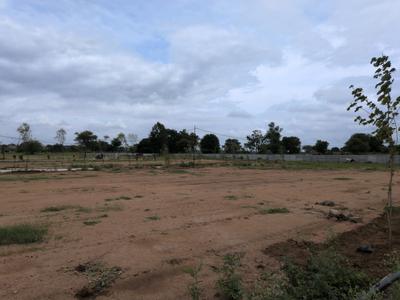 Open plot kothur Plot View 2