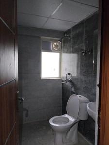 Common Bathroom Image of 920 Sq.ft 2.5 BHK Apartment / Flat for rent in Amrapali Dream Valley 2, Noida Extension Greater Noida for Rs. 18500