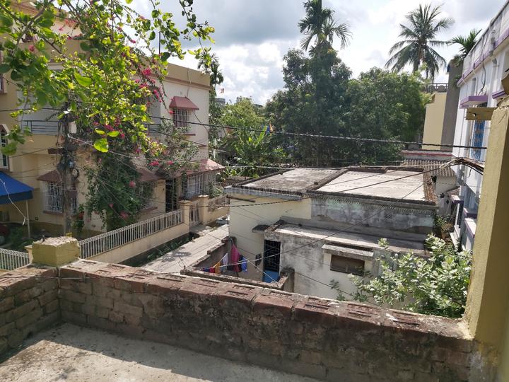 Seba Gram, Palta Main Image 1