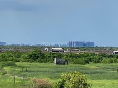 Image of 1476 Sq.ft Residential Plot / Land for sale in Jalalpore, Navsari for Rs. 1000000
