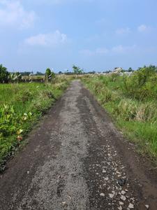 Wander Valley Internal Roads 2