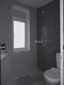 Common Bathroom Image of 805 Sq.ft 2 BHK Apartment / Flat for sale in Amrapali Dream Valley 2, Noida Extension Greater Noida for Rs. 6005040