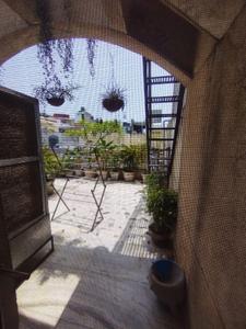 Balcony Image of 1200 Sq.ft 1 RK Builder Floor for rent in Hauz Khas New Delhi for Rs. 45000