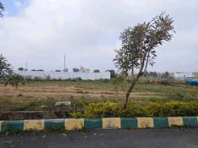 Residential Plot