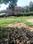 Block A, Sector 26A Plot View 2