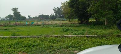 Image of 1000 Sq.ft Residential Plot / Land for sale in Lucknow Royal Royal Estate, Bhuhera, Barabanki for Rs. 1600000