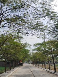 super corridor Indore Plot View 2