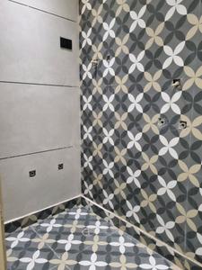 Common Bathroom Image of 600 Sq.ft 2 BHK Apartment / Flat for sale in Nangli Sakrawati New Delhi for Rs. 4500000