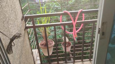 Kitchen Image of 700 Sq.ft 1 BHK Apartment / Flat for sale in Millenium Height, Ulwe Navi Mumbai for Rs. 5600000