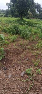 Image of 7115 Sq.ft Residential Plot / Land for sale in Karjat, Thane for Rs. 10672500