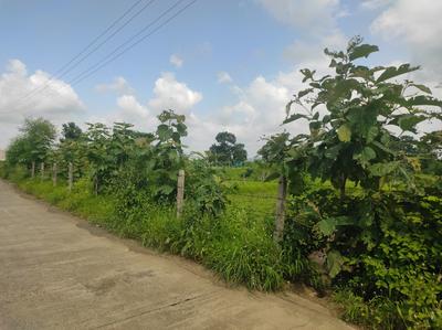 Image of 49005 Sq.ft Residential Plot / Land for sale in Murbad, Thane for Rs. 6525000