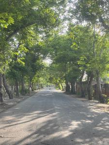 Image of 1750 Sq.ft 3 BHK Villa for sale in Nawada, Greater Noida for Rs. 26500000