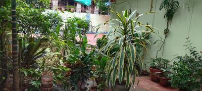 Image of 1500 Sq.ft 2 BHK Independent House for rent in Nayapalli, Bhubaneswar for Rs. 27000