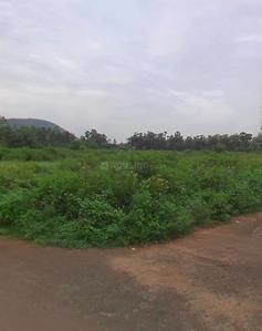 Chippada Plot View 2