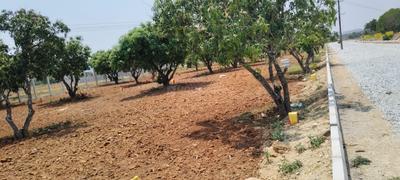 Image of 6534 Sq.ft Residential Plot / Land for sale in Narsapura, Kolar for Rs. 3920400