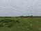 Padappai Plot View 2