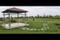 MAK BTR Gardenia Main Image 1
