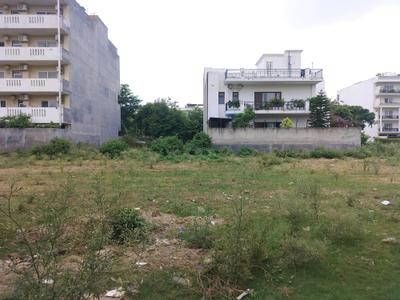 Image of 263 Sq.ft Residential Plot / Land for sale in Sector 31, Gurgaon for Rs. 86000000