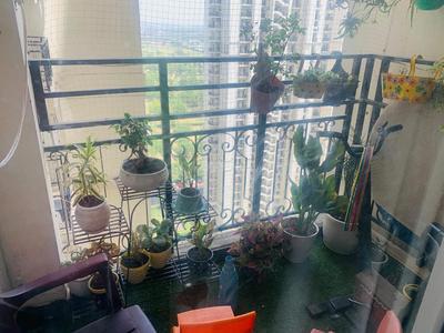 Balcony Image of 1753 Sq.ft 3 BHK Apartment / Flat for rent in DLF Capital Greens Phase 1 And 2, Karampura New Delhi for Rs. 55000