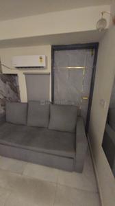 Hall Image of 1300 Sq.ft 2 BHK Apartment / Flat for rent in Jagatpura Jaipur for Rs. 25000