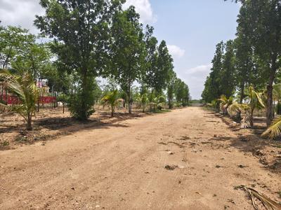 Image of 121 Sq.ft Residential Plot / Land for sale in Alair, Yadadri Bhuvanagiri for Rs. 665500