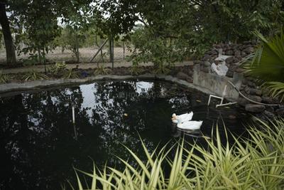 Image of 5725 Sq.ft Residential Plot / Land for sale in Doddaballapura, Bengaluru for Rs. 5400000
