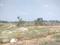 Koppa Gate Plot View 2