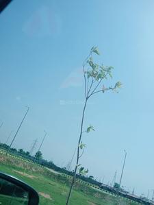 Image of 120 Sq.ft Residential Plot / Land for sale in Krish Seasons, Burera, Bhiwadi for Rs. 3360000