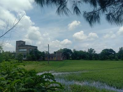 Residential plot Sonarpur Plot View 2