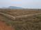 Mendhasala Plot View 2