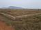 Mendhasala Plot View 2