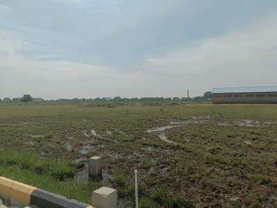 Image of 800 Sq.ft Residential Plot / Land for sale in SIP Romera Phase II, Rajankuppam, Chennai for Rs. 2239200
