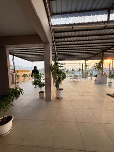 Image of 900 Sq.ft 1 BHK Builder Floor for rent in DLF Independent Floors, DLF Phase 3, Gurgaon for Rs. 30000