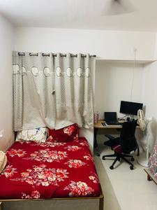 Bedroom Image of 1150 Sq.ft 2 BHK Apartment / Flat for rent in Vijayraj The Miracle, Punawale Pune for Rs. 25000