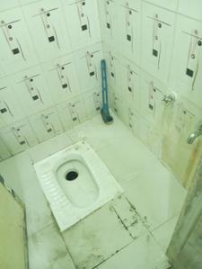 Bathroom Image of 750 Sq.ft 1 BHK Apartment / Flat for rent in Bavisa Faliya Silvassa for Rs. 8000