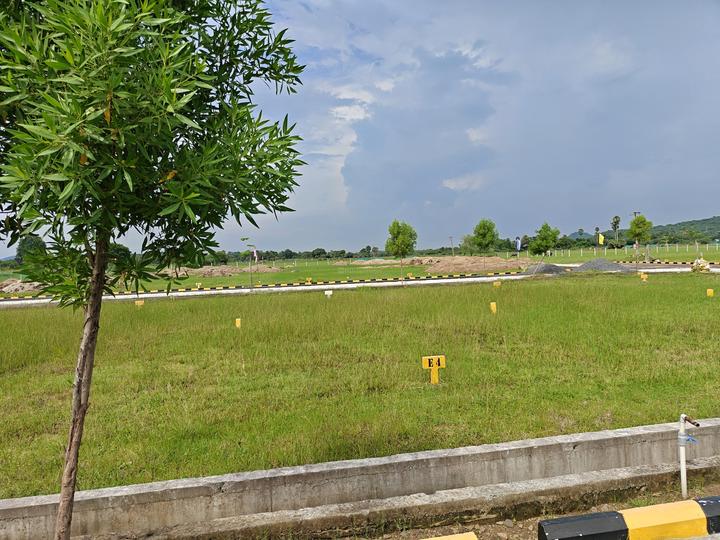 Urapakkam Main Image 1